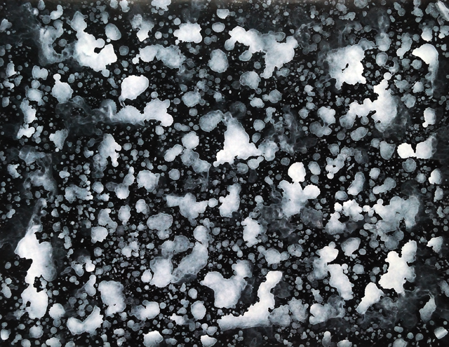 Wenlan Hu Frost - Natural Expressionism Series II No. 004