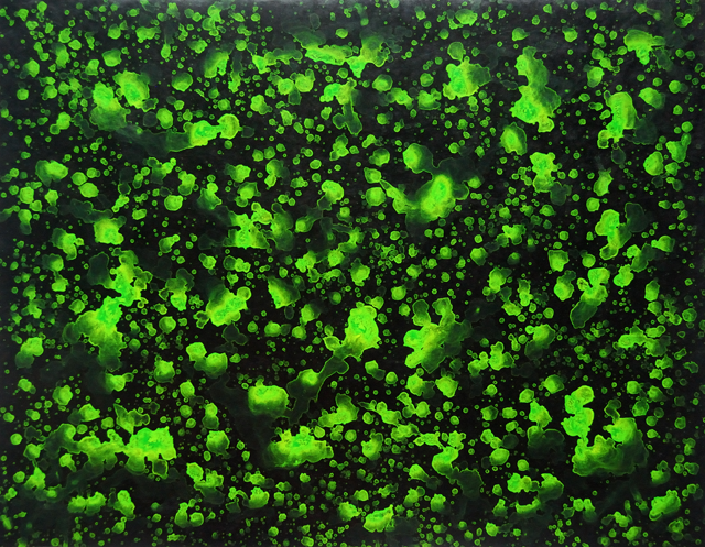 Wenlan Hu Frost - Natural Expressionism Series II No. 005