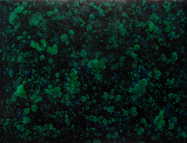 Wenlan Hu Frost - Natural Expressionism Series II No. 006