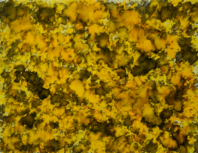 Wenlan Hu Frost - Natural Expressionism Series II No. 013